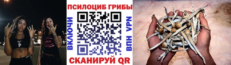 закладки  Галич  Псилоцибиновые грибы ЛСД 
